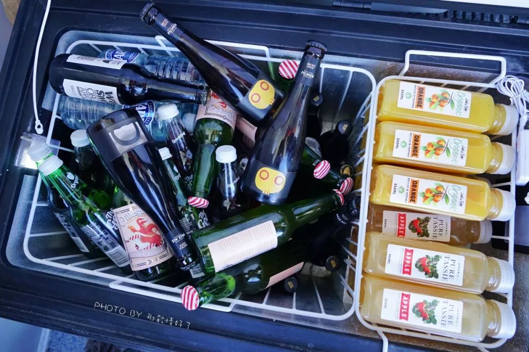 去哪里旅游可以看南极企鹅,旅游攻略南极看企鹅