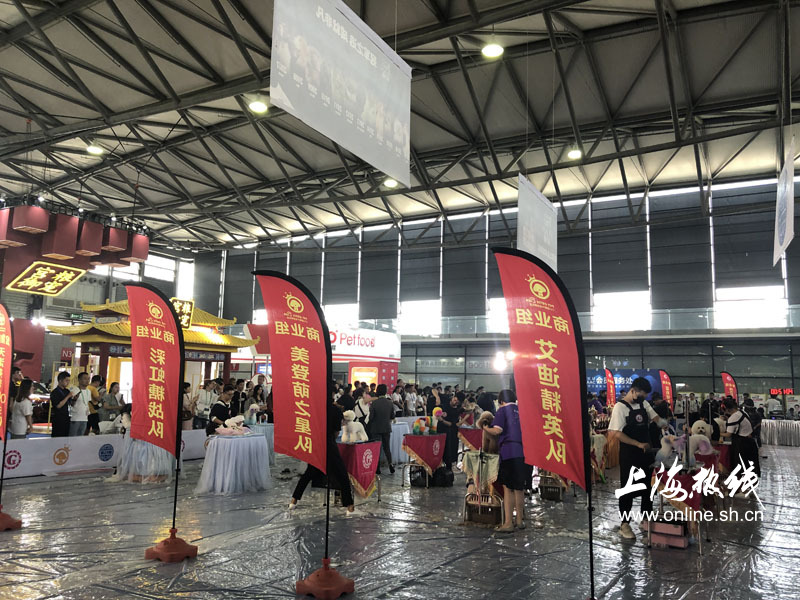 亚洲宠物展2022直播,亚洲宠物展会直播