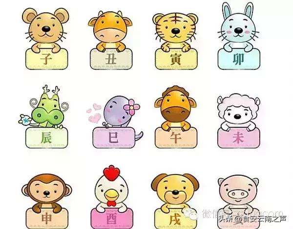 为什么要请貔貅,请貔貅为什么要请一对啊