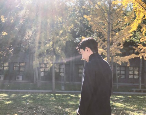 2019年犯太岁的是哪些生肖,2019年犯太岁的生肖有哪些人