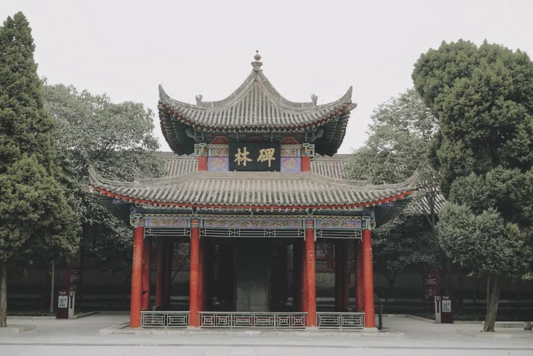 内卷的不只是打工人，连博物馆也开始拼了