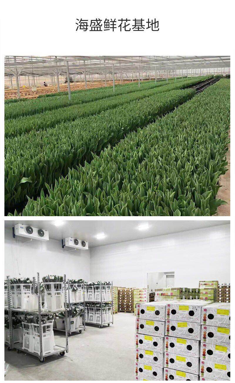 转机！京东鲜花欲打开花卉滞销困局