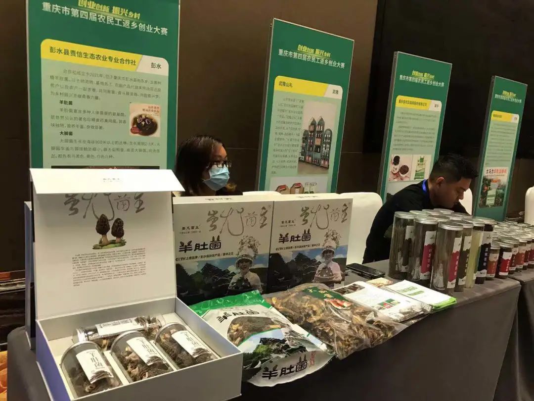 蚯蚓粪种小番茄！农民工返乡创业，这些点子很“炸”