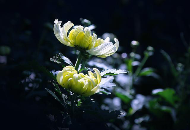 摄影有哪些乐趣和意义,摄影爱好者都喜欢拍什么