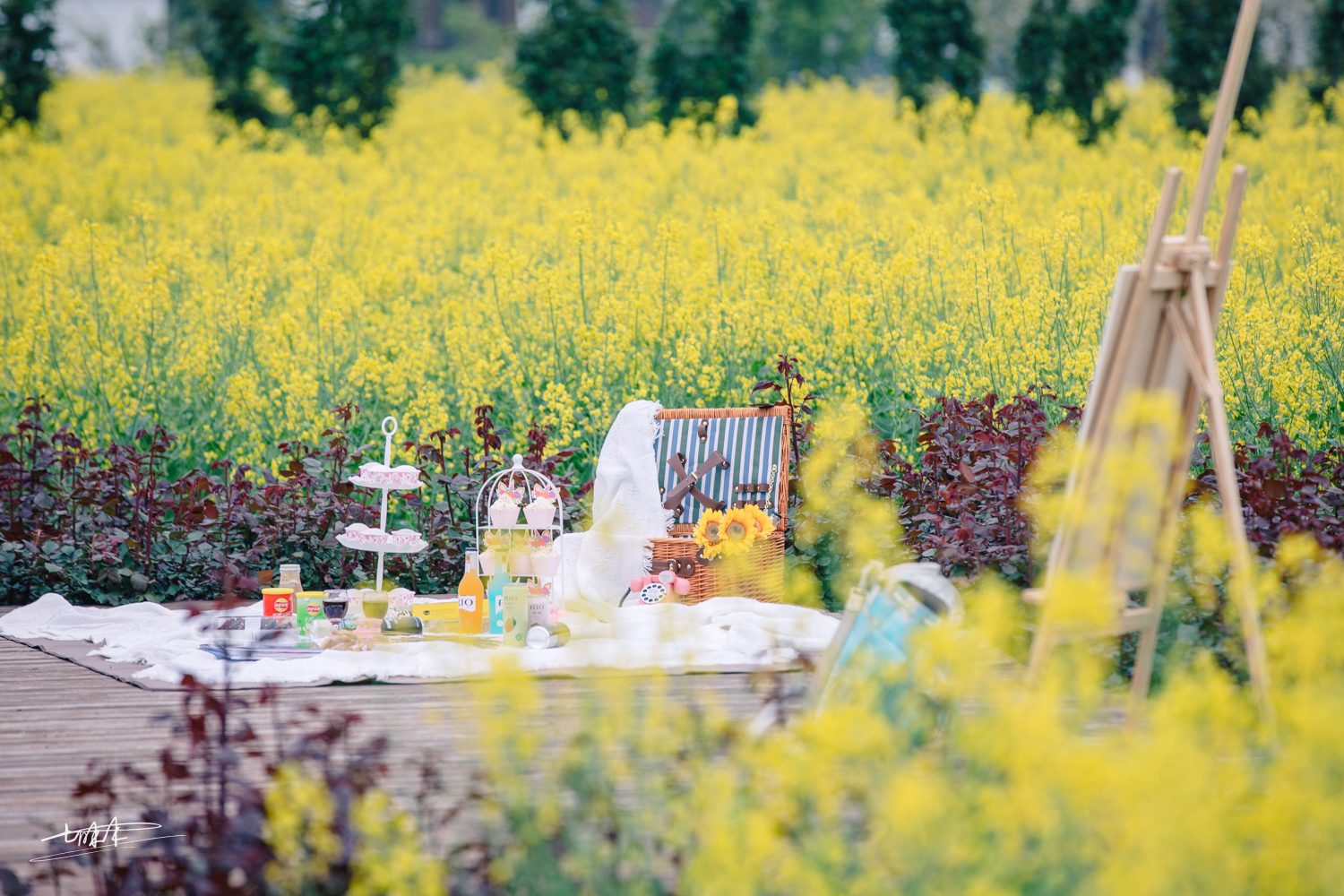 梦里水乡乌镇周庄风景视频,周庄版梦里水乡