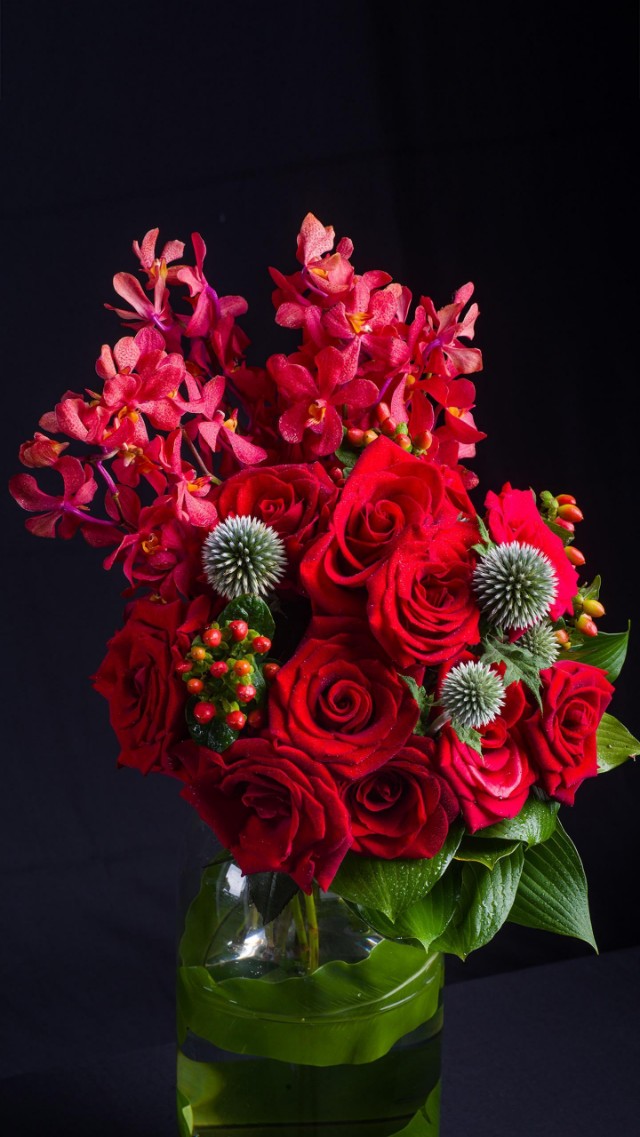 粤语骂人的六种含义,粤语骂人基本常用语