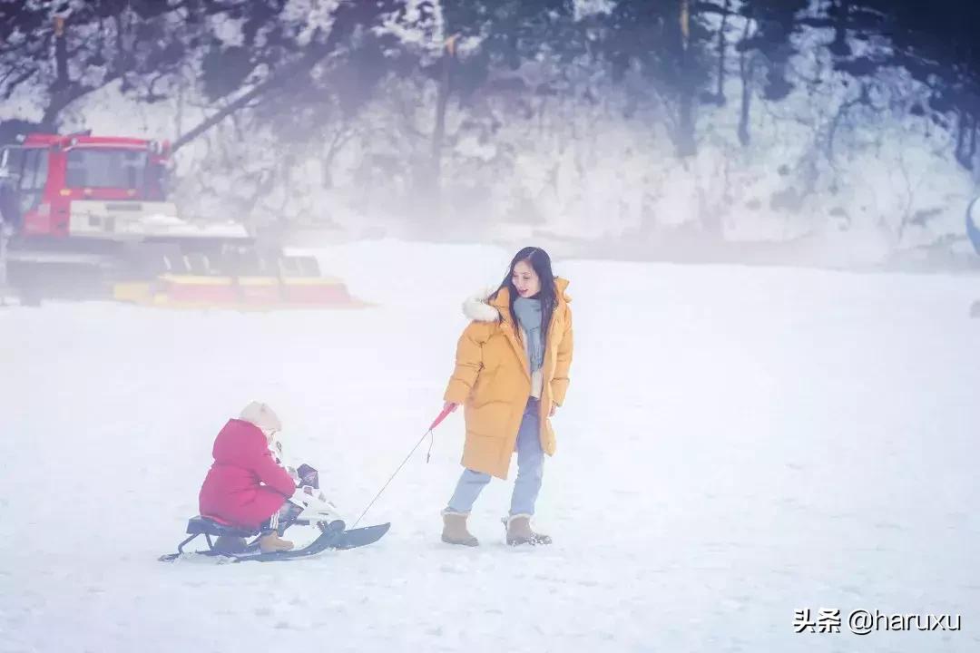南方也能下雪吗,南方也能见到雪