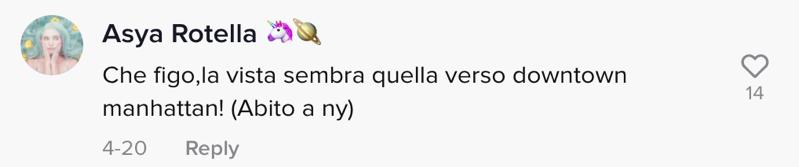 tiktok意大利小哥,意大利华裔中国美食