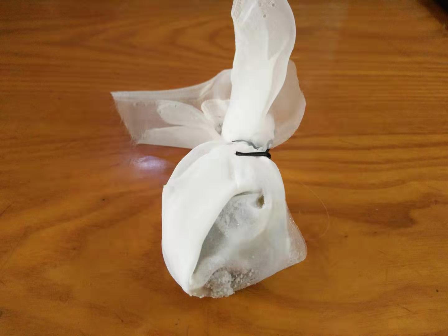 如何养好迷你鹦鹉鱼苗,怎么可以养好迷你鹦鹉鱼鱼苗