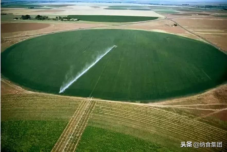 伊利蒙牛和圣牧,圣牧伊利蒙牛