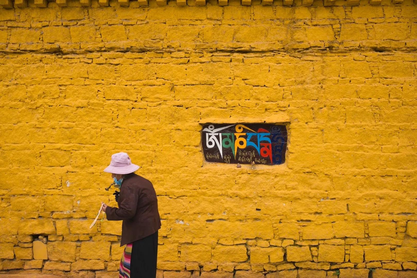 谜一般的绛香拔拉【香拔拉】