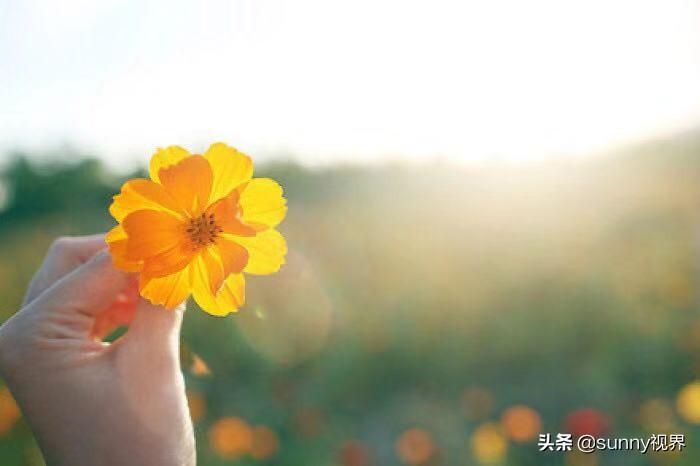 人如果一直倒霉怎么放平心态,觉得自己总是很倒霉怎么调整心态