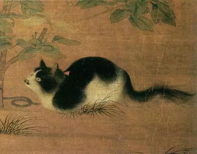 故宫十大御猫小崽儿,历史上真实的故宫御猫