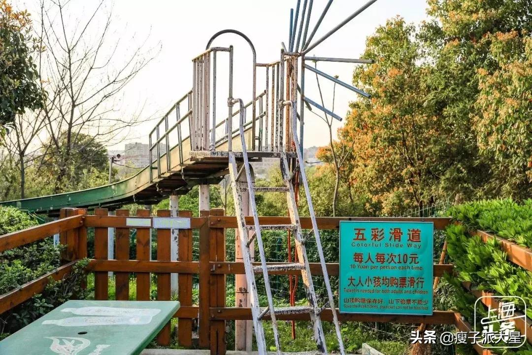 魔都森林彩虹滑梯视频,打卡魔都热气球