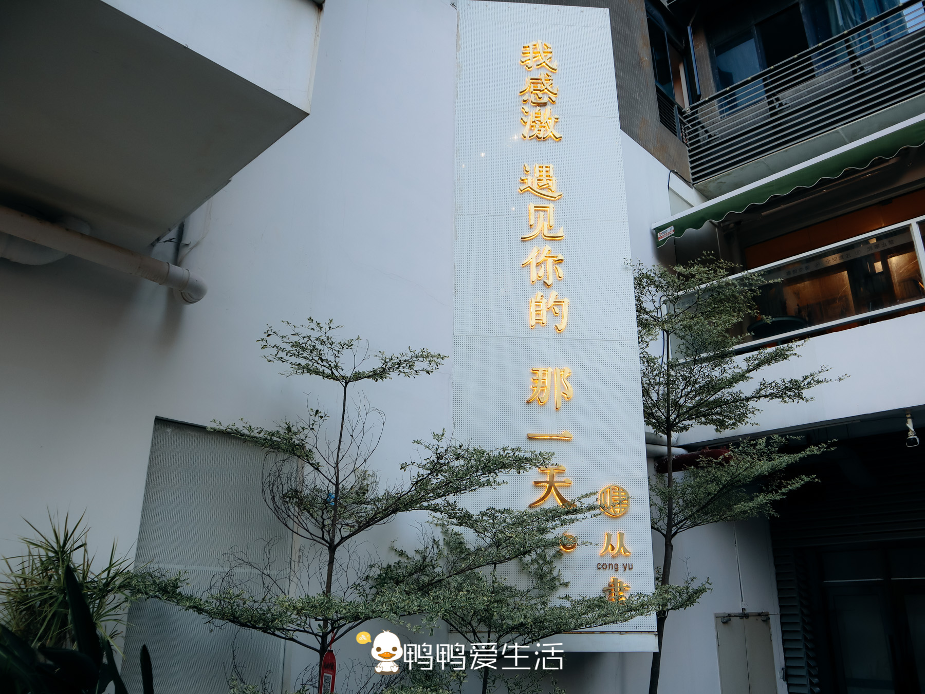 厦门从聿书店网红墙,从聿书店自由行热门攻略