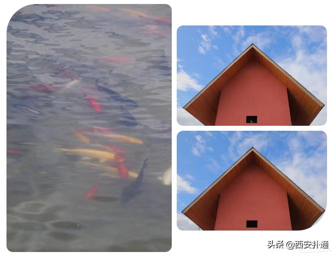 西安梦幻童话王国,西安童话小镇要门票不