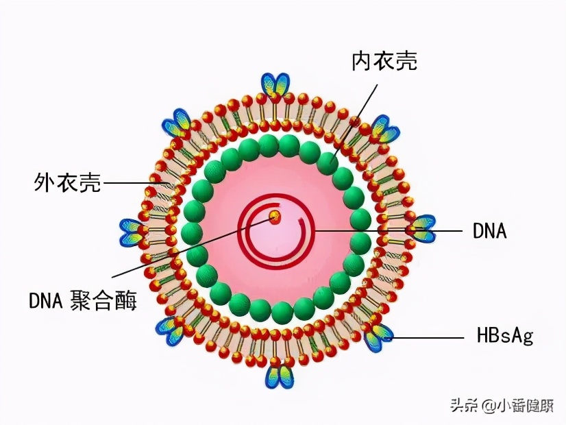 凯因科技乙肝新药离上市还有多久,乙肝新药有哪几种目前