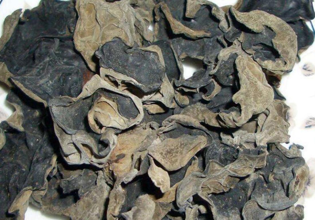 黑木耳菌种及栽培技术视频,黑木耳的种植技术和吃法