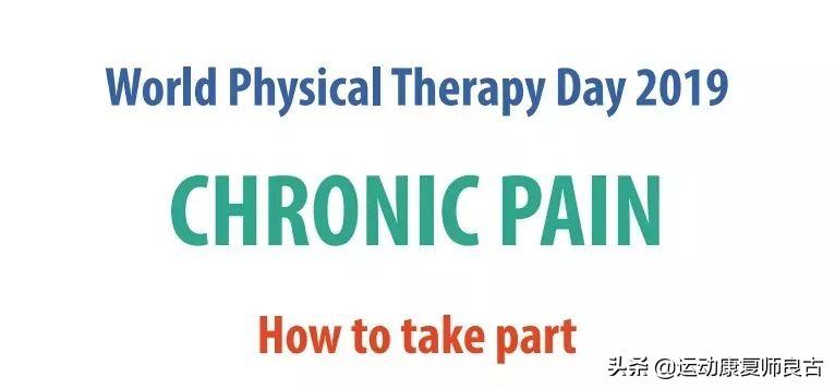 世界物理治疗日是哪一天,什么是世界物理治疗日