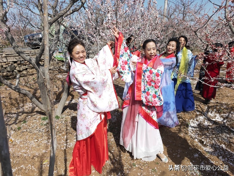邹平黛溪张高杏花节直播,张高杏花节开幕式完整版