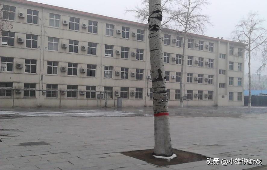 濮阳蓝天电脑学校师资力量,濮阳市最好的几所中学