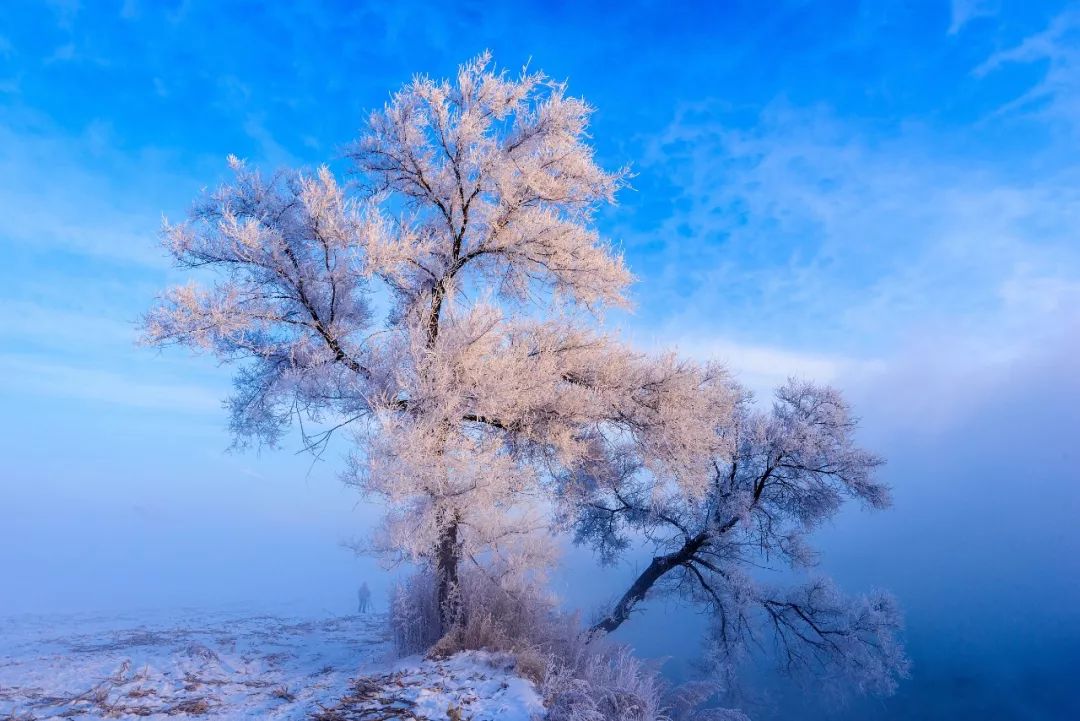 最漂亮的雾凇雪景在哪里,为什么吉林的雾凇最知名