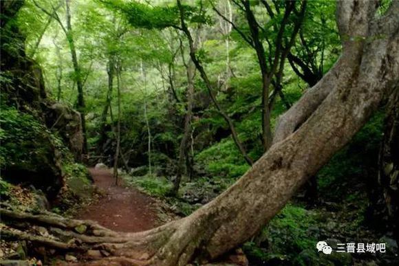 山西地域冷知识,山西冷知识