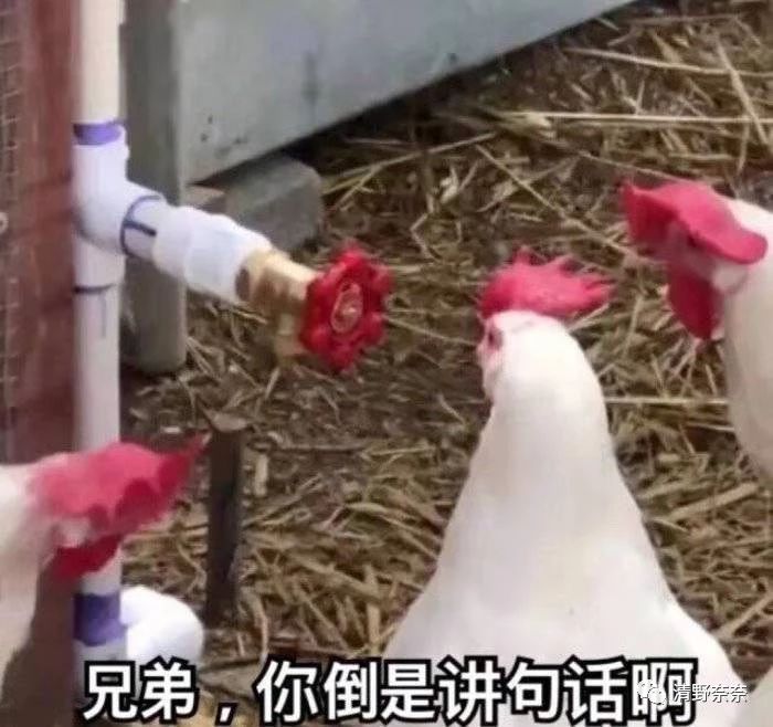 不含酒精的化妆品,不含酒精的化妆品有哪些品牌