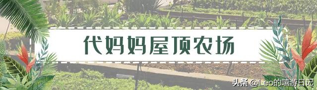 让孩子体验农耕生活的地方,儿童农耕生活体验