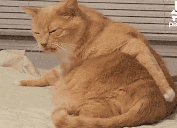 妊娠与皮肤|怀孕后爆痘、瘙痒、长斑，药膏、护肤品还能用吗？