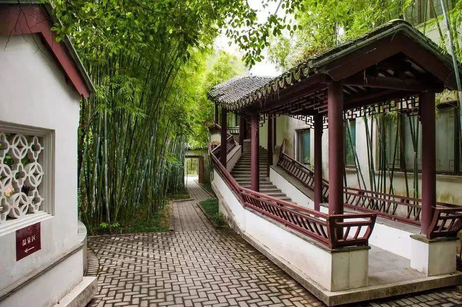 来清远必要玩的地方,去清远玩