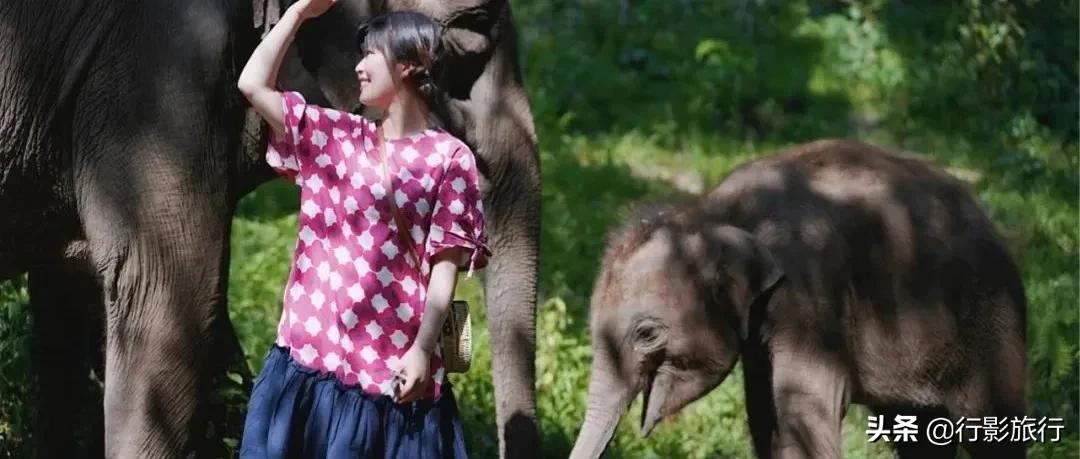 云南的西双版纳州怎么样,云南西双版纳景区怎么样