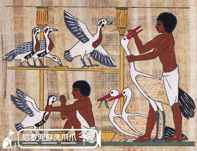古埃及人都有什么饮食习惯,古埃及饮食习惯