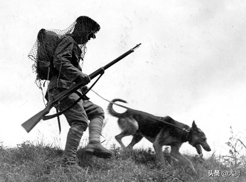 日本侵华时军犬,日本战败后伪军怎么处理