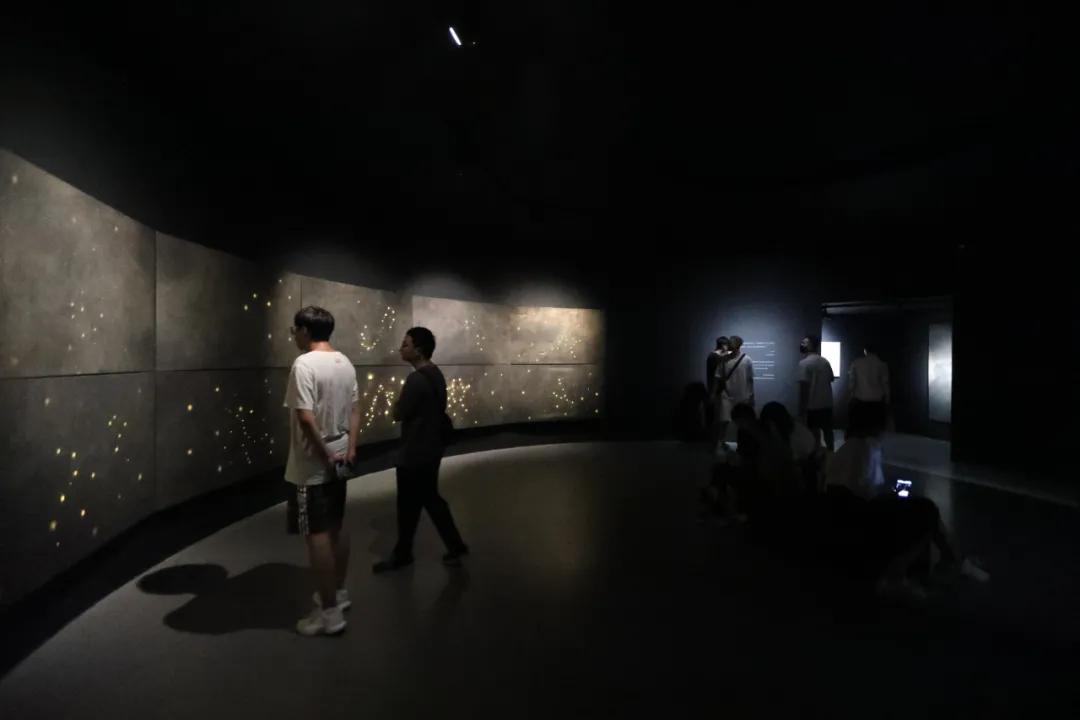 王绍强双年展,王绍强作品展