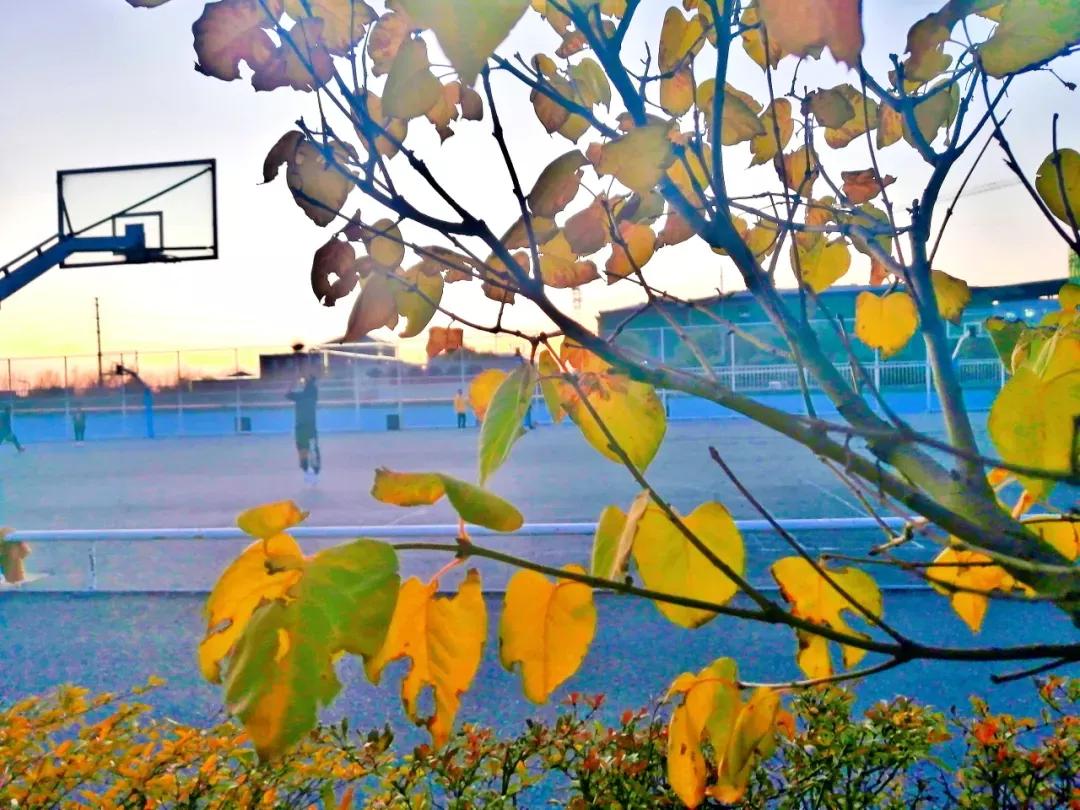 吉林省独立院校（三）长春工业大学人文信息学院