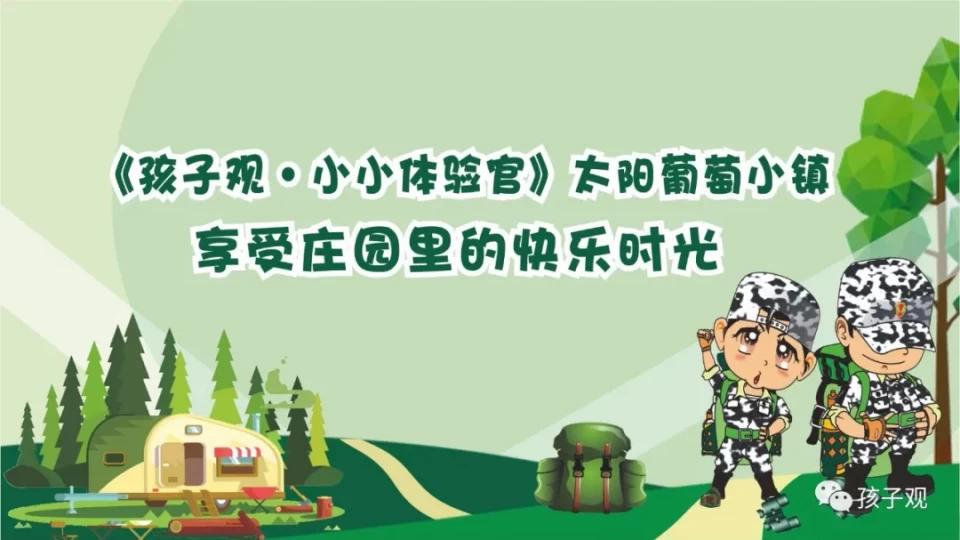 太阳葡萄小镇亲子乐园,亲子游太阳葡萄小镇