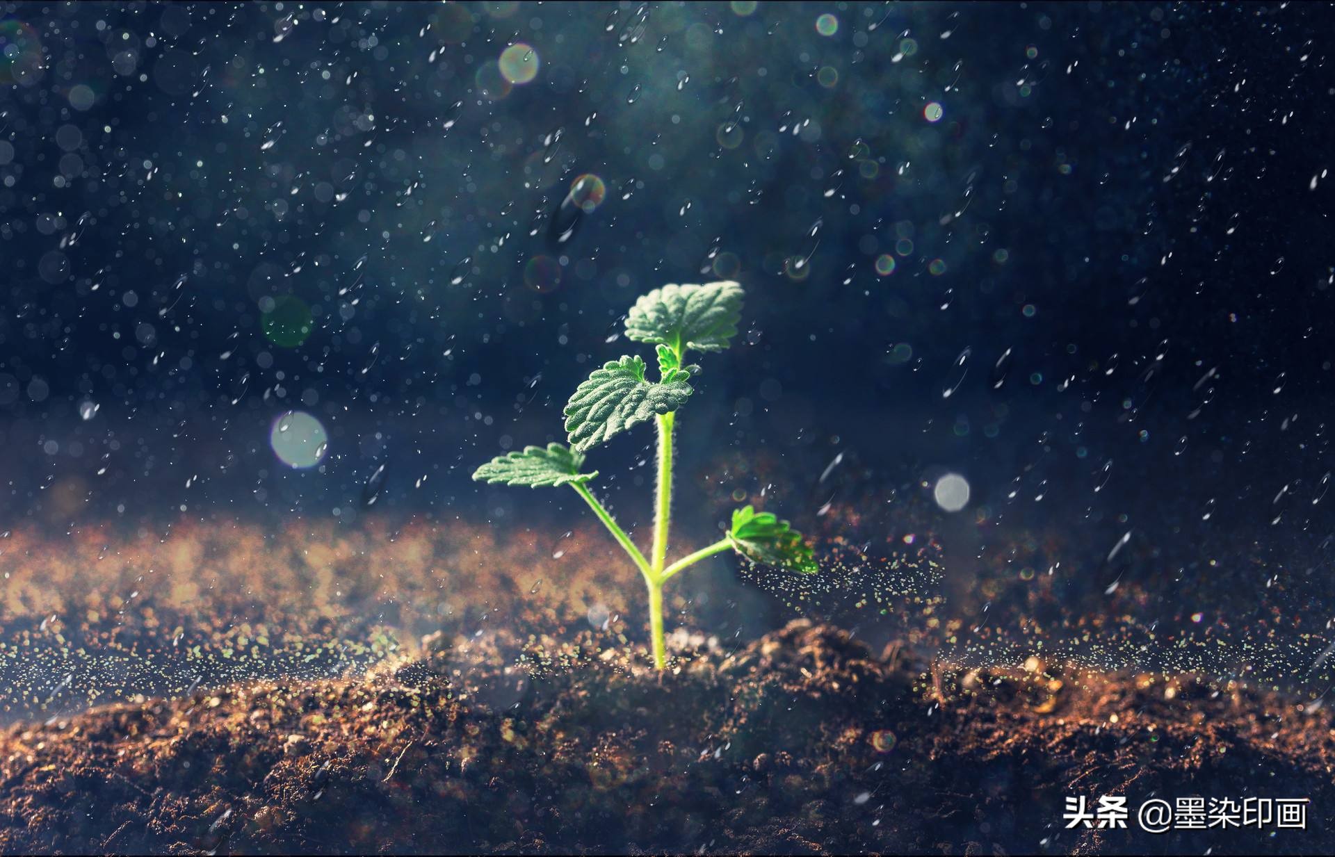 春雨如金，如何拍出春雨的“诗情画意”？5个思路拍好春雨