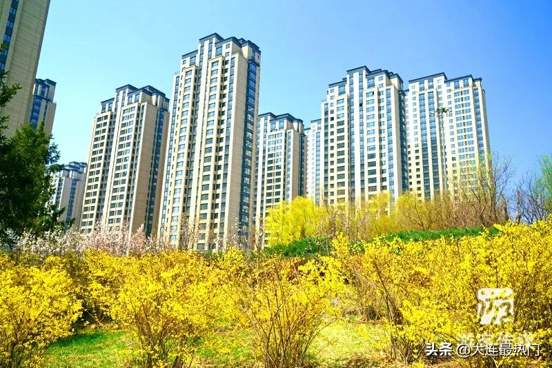 辽宁踏青赏花地点推荐,辽宁春游踏青赏杜鹃花