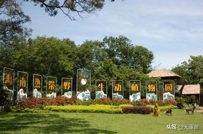 元旦去海口玩什么好,元旦去海南玩需要带什么