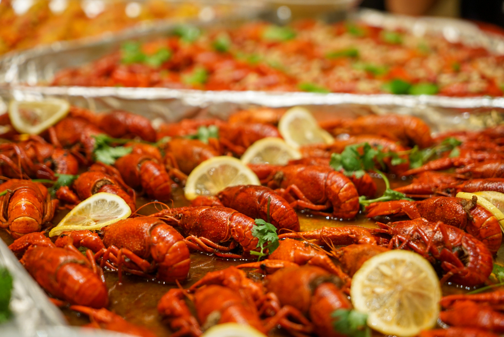 扬州五天游,扬州五天四晚游