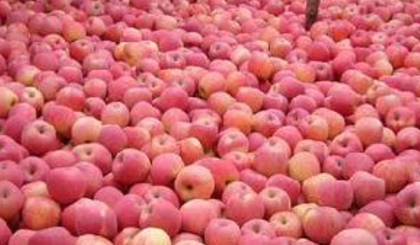 车厘子水果降价了吗,全国水果市场今日价格车厘子