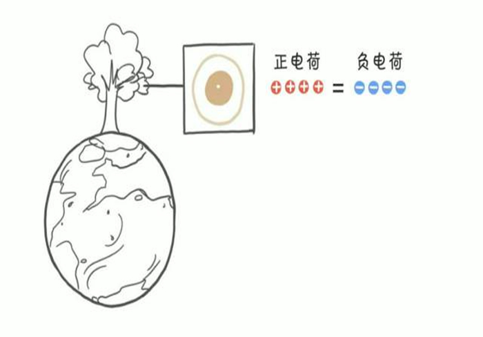 想撸猫但是猫害怕怎么办,想撸猫又怕脏怎么办