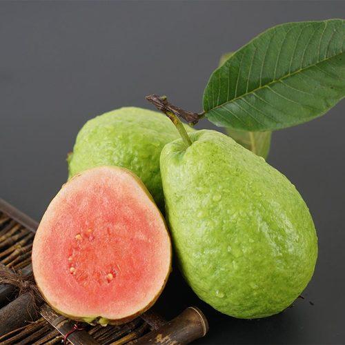 软糯香甜芭乐果大人孩子都喜欢吃,芭乐番石榴脆甜