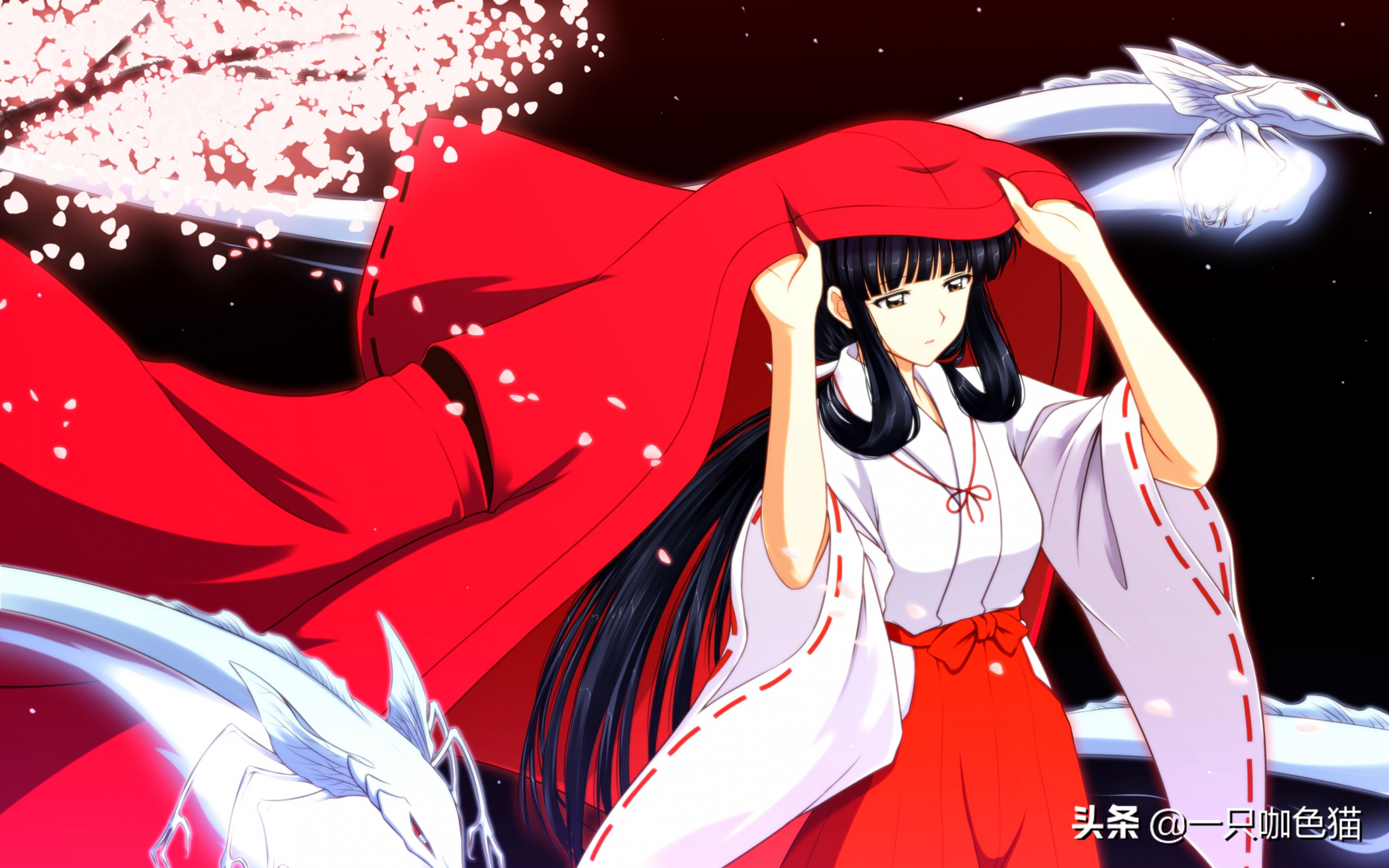 关于阴阳师的动漫电影,关于阴阳师的动漫和小说