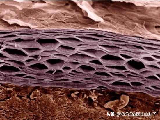 病毒在人体中被消灭,病毒在体外可以繁殖吗