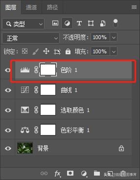春天拍摄的绿叶怎么拍,春天的花朵怎么拍摄照片
