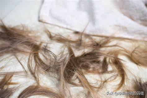 对有毛的动物恐惧心理,对任何动物都害怕