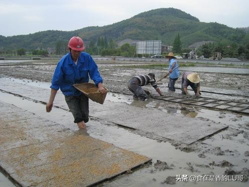 鍐滄潙榧犲闃叉不,鍐滅敯鐏紶鏈変粈涔堝ソ鍔炴硶