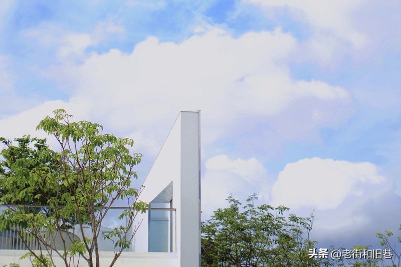 罗生门和黄粱梦,罗生门香港live